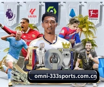333体育app下载 APP 界面